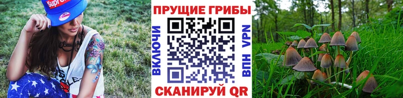 закладки  Куртамыш  Галлюциногенные грибы мухоморы 